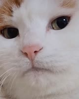 640x800