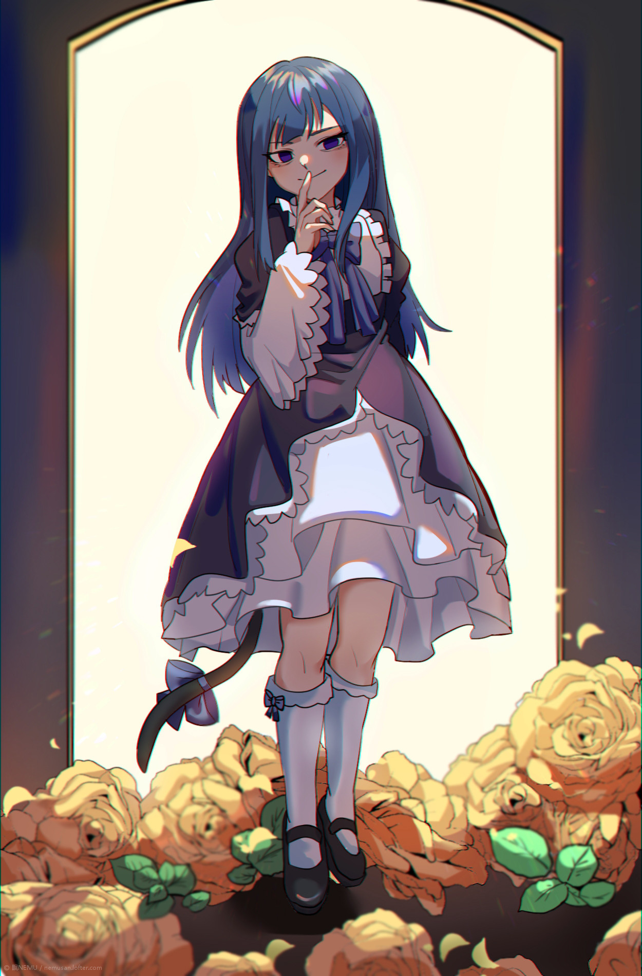 1250x1900