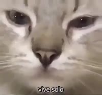 400x372
