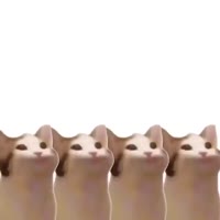 640x640