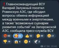 591x479