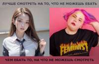 1240x818