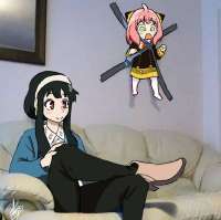 735x733