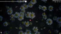640x360
