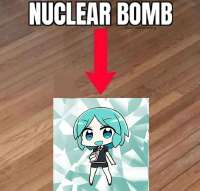 736x706