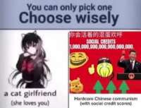 1171x899