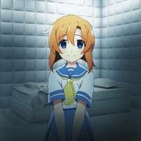 736x736