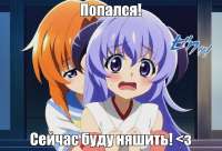 981x671