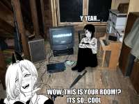 1024x768