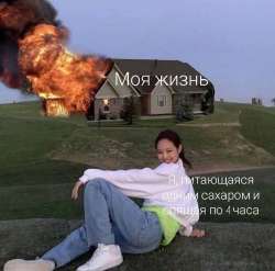 736x729