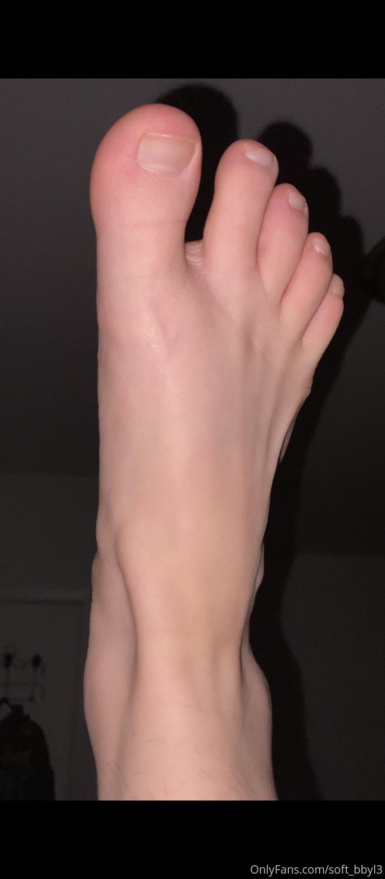 785x1792