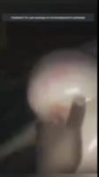 480x852