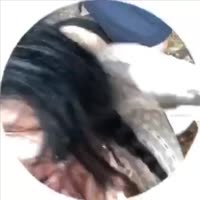 848x848