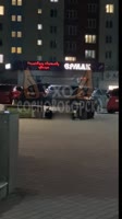 720x1280