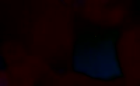 388x240