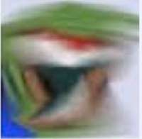 256x251