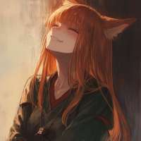 736x736