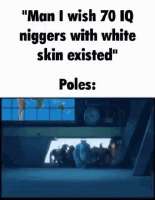 248x320