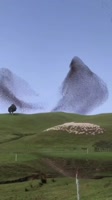 576x1024