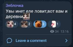 526x337