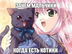 736x552