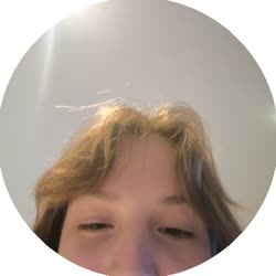 384x384