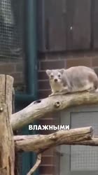 360x640
