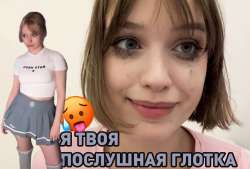 1269x861