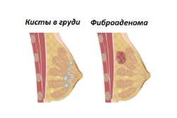 600x400