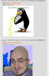 399x613
