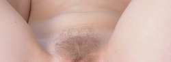831x305