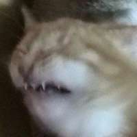 300x300