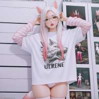1088x1088