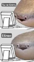 289x519
