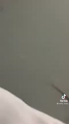 480x854