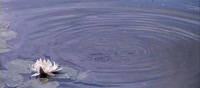 640x284