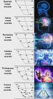 756x1388
