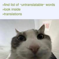 1280x1280