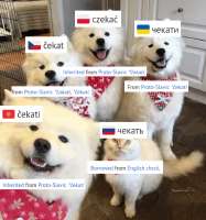 824x878