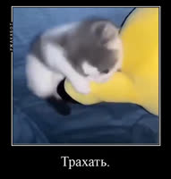 357x372