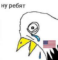 323x337