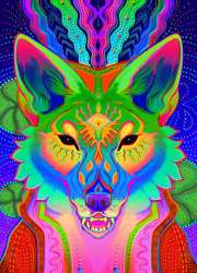 900x1245