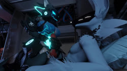 600x338