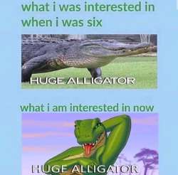 828x816