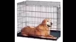 640x360