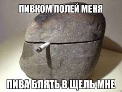 498x376