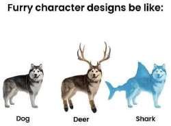 460x339