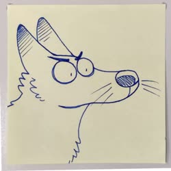 1000x1000