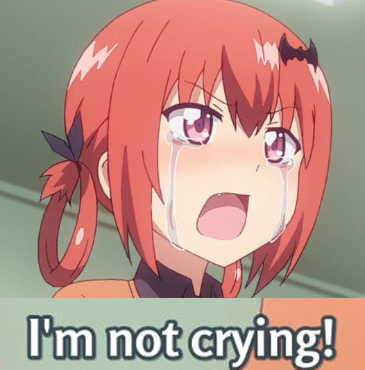 526x533