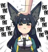 736x797